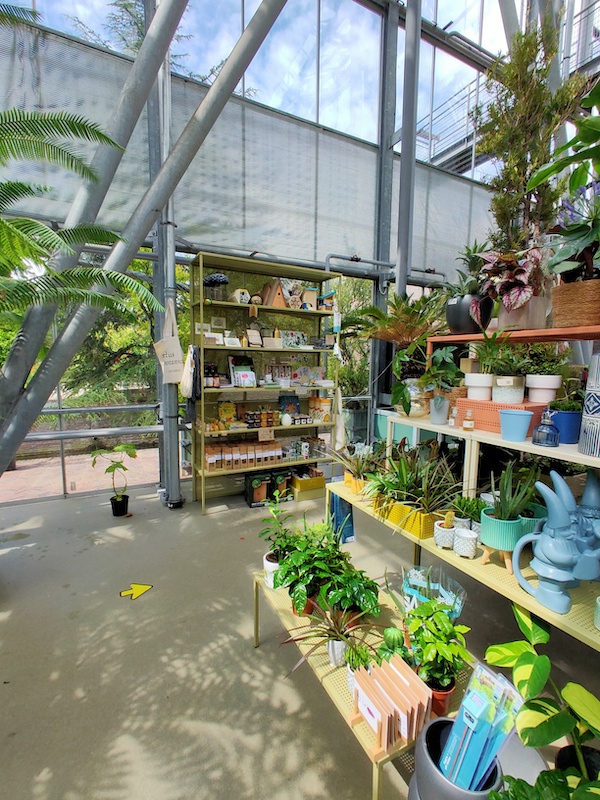 Hortus Botanicus Leiden Shop 